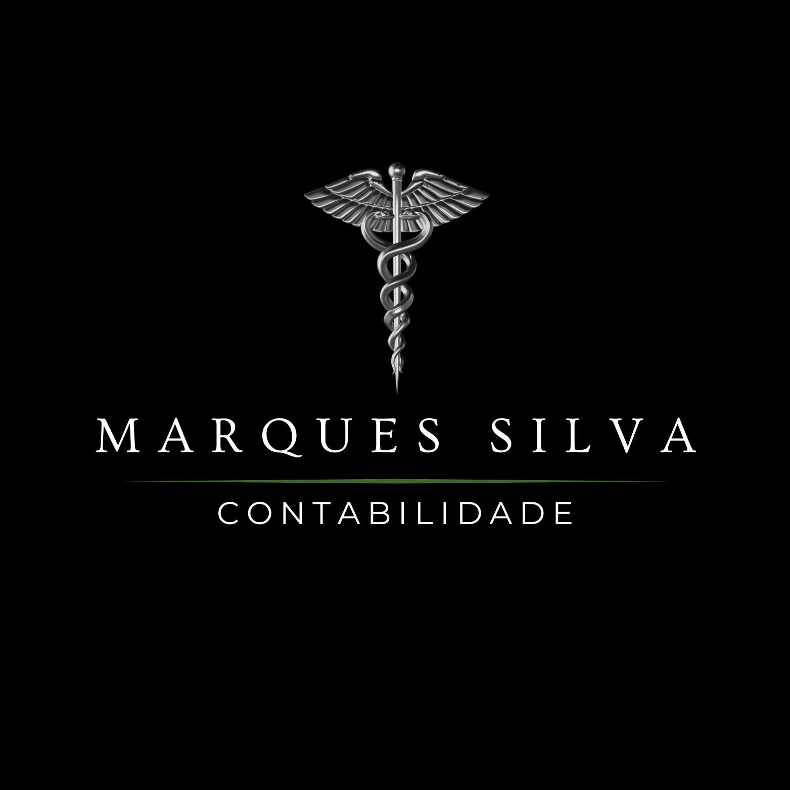 MARQUES SILVA CONTABILIDADE